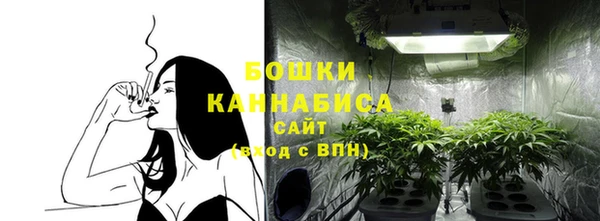 apvp Инта