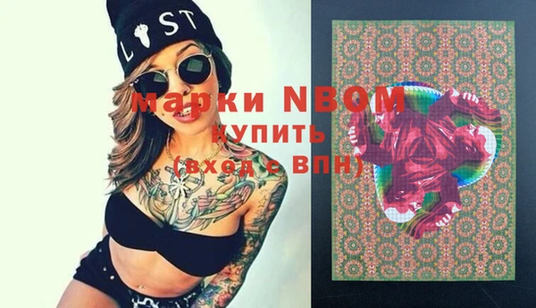 apvp Инта