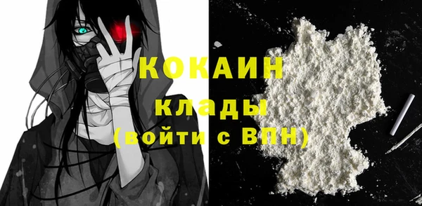 apvp Инта
