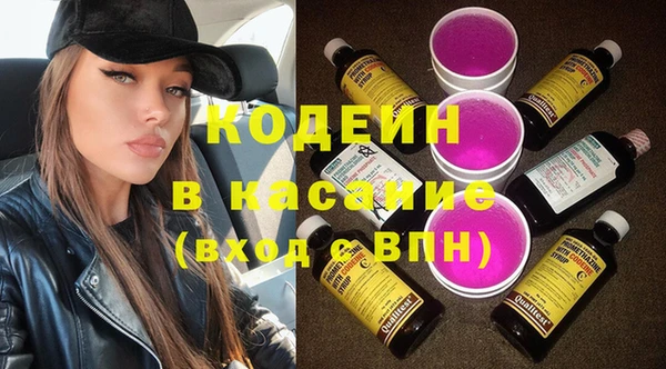 apvp Инта