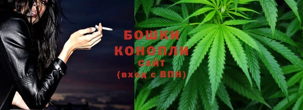 spice Иннополис