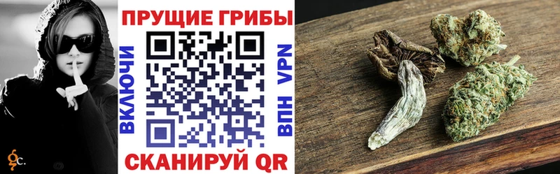 Купить где  Азнакаево  Галлюциногенные грибы мухоморы 